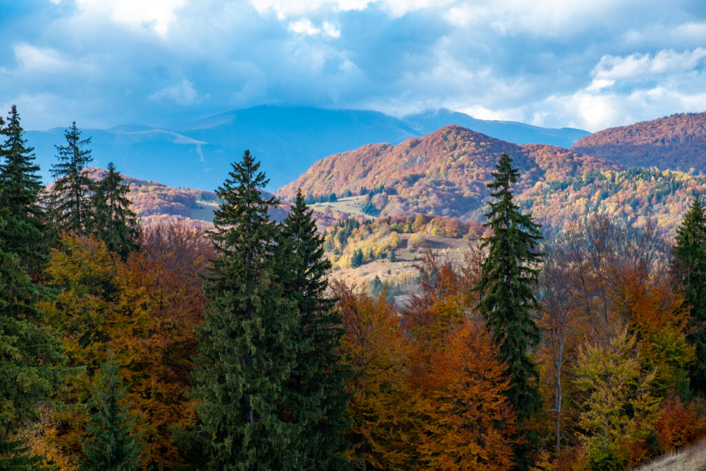 Montagnes des Carpates en Roumanie