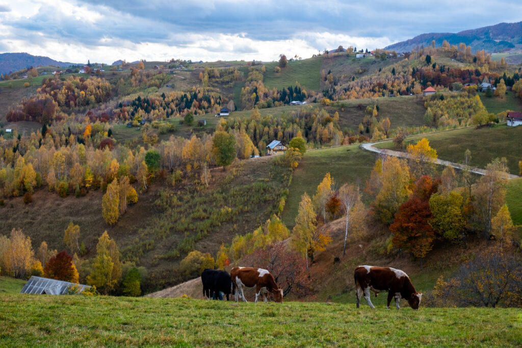 Le village de Pestera