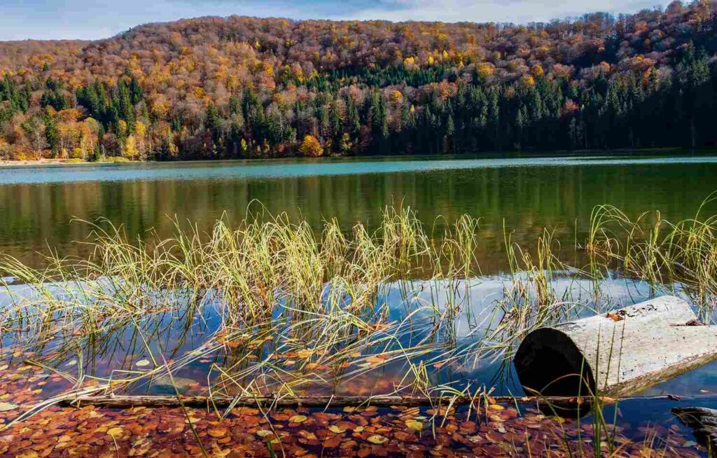 Lac Sfanta Ana Automne Transylvanie