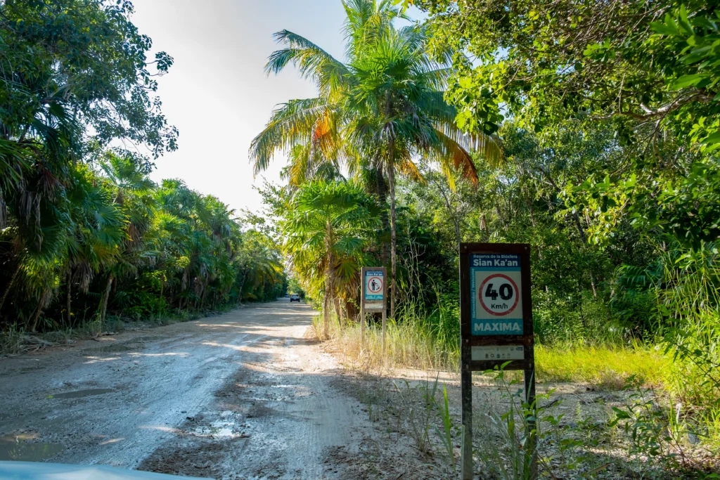 Jungle de Sian Ka'an proche de Tulum Mexique