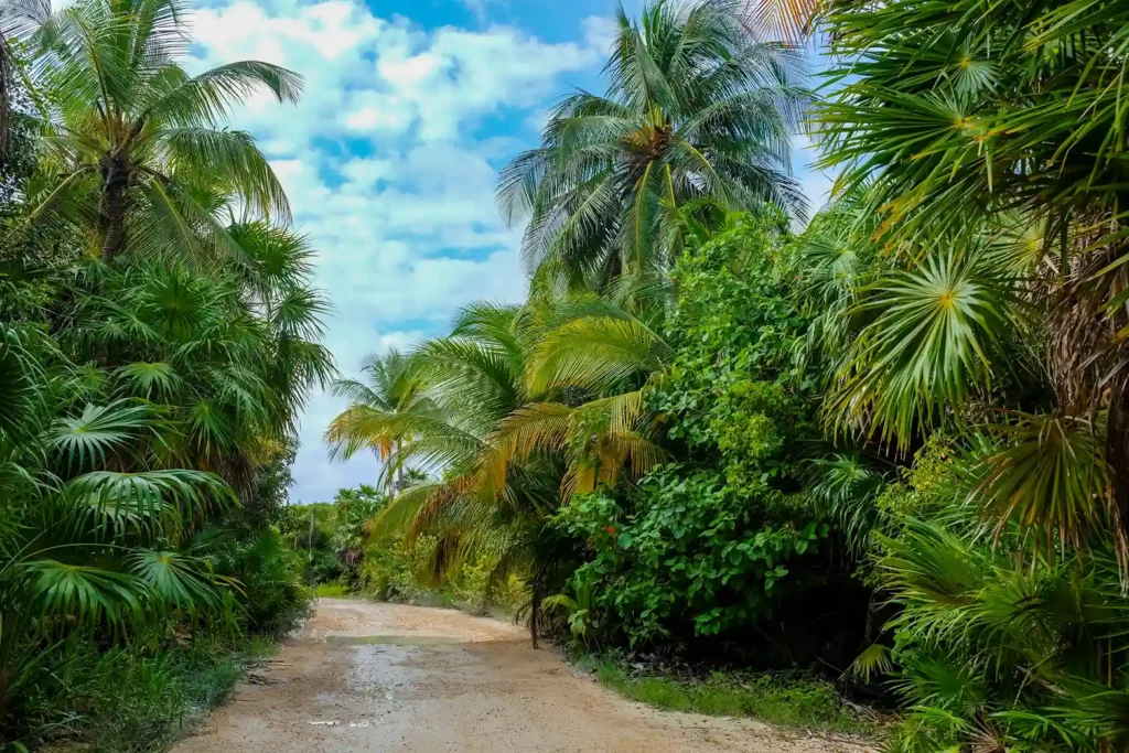 Voyage à Tulum : Découverte de Sian Ka'an