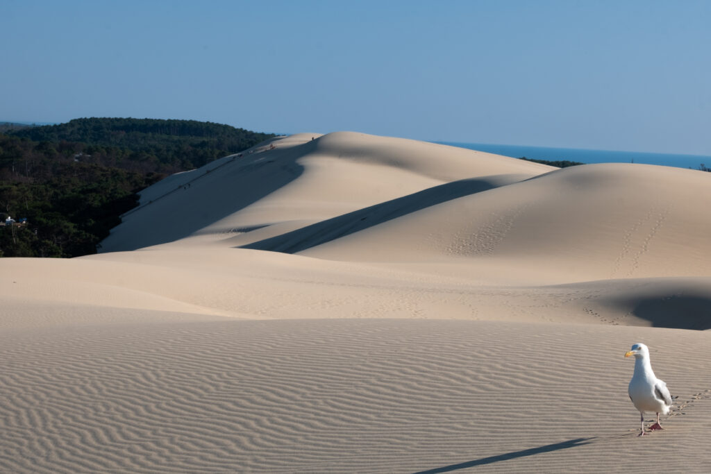 Composition et sujet : photo de paysage