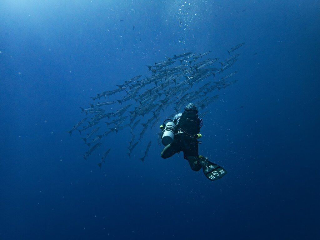 Apprendre la Plongée Sous-Marine Autonome