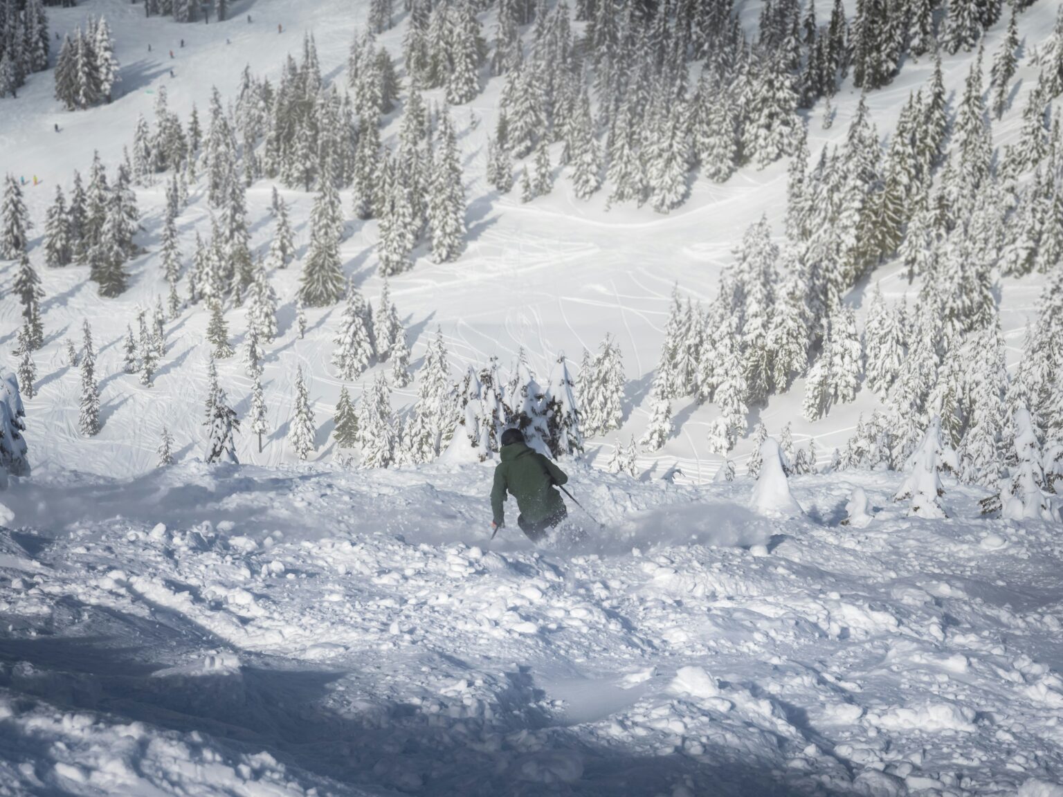 Technique de ski de bosses
