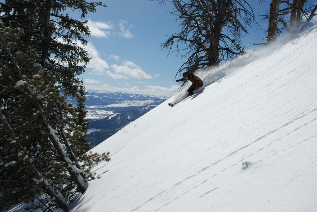 Skier dans Pyrénées – Freeride au travers des sapins