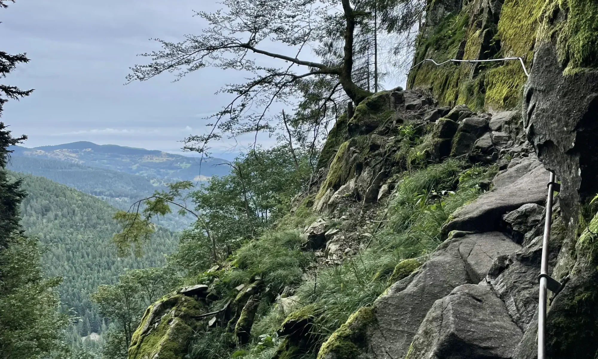 Randonnées Vosges : Le sentier des roches 